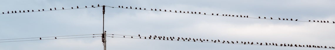 IMG_2330